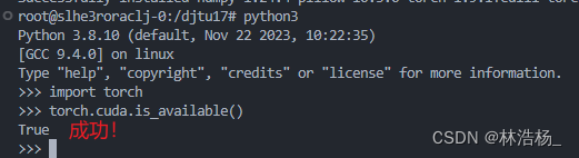 Djtu Library DJTU区块链实验室使用python3容器安装pytorch环境步骤-CSDN博客
