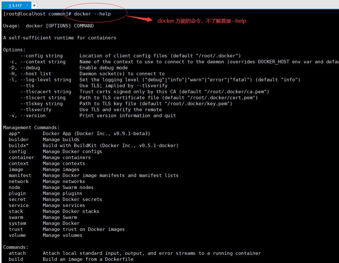 image-20210824170640888