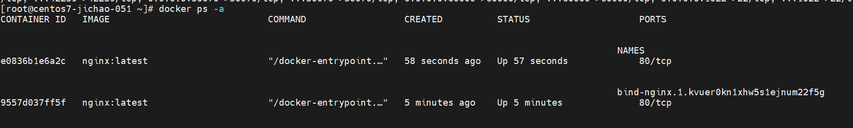 Day23-swarm _centos_51