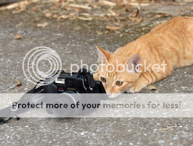 点击在新窗口中查看该图片