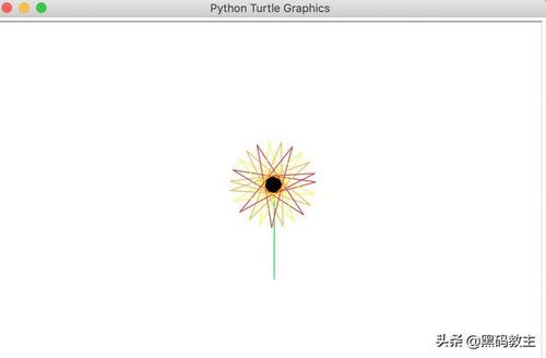 python画圆弧组成的花瓣代码,如何用python画花瓣-CSDN博客