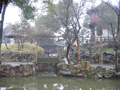 IMG_0051.gif