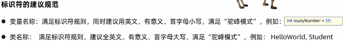 image-20240703220543629