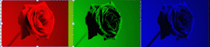 20200323160155402.gif