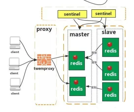 webp