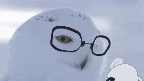 87a65f3d2307c0ac011f5449b63c9260.gif