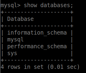 image-20210304205501399
