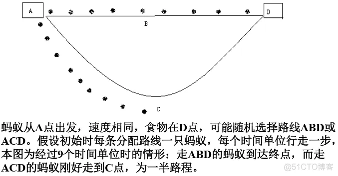 【路径规划】基于蚁群算法实现多式联运路径规划问题matlab源码_matlab源码_02