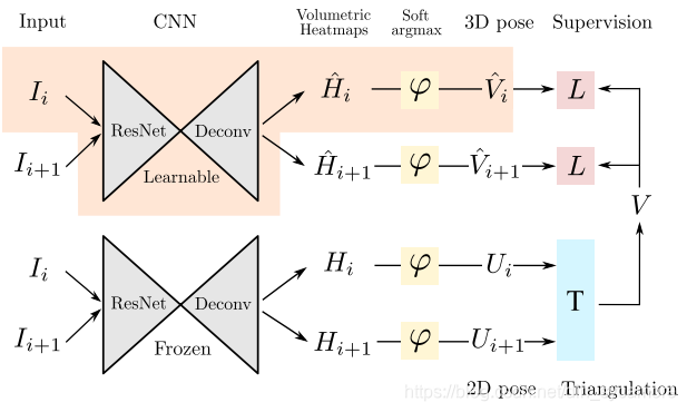 Overall architecture of EpipolarPose during training