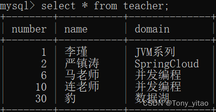 teacher表的数据记录