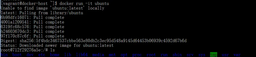 『中级篇』Dockerfile实战CMD和ENTRTYPOINT的配合（21）