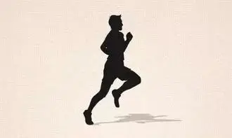 2530112-d50288f8123f581e