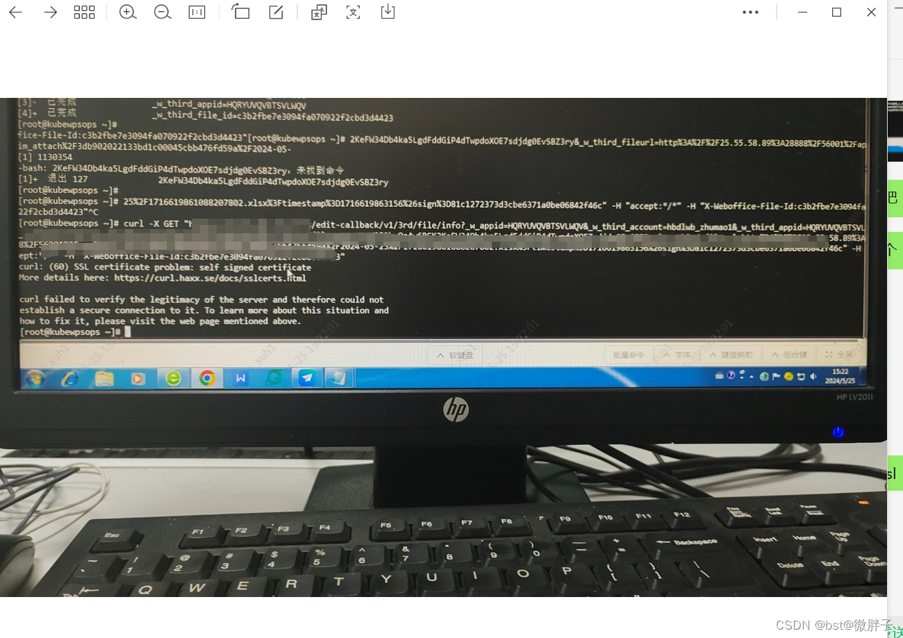curl: (60) SSL certificate problem: self-signed certificat_curl: (60 ...