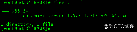 Ceph Calamari Server RPM编译