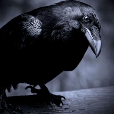 2389f2018b2058f6b97d3625081de958.png