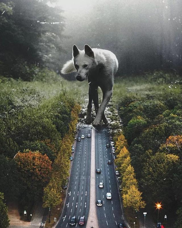 2e8eaacd53e61b4ae5b8713b71b1690e.png
