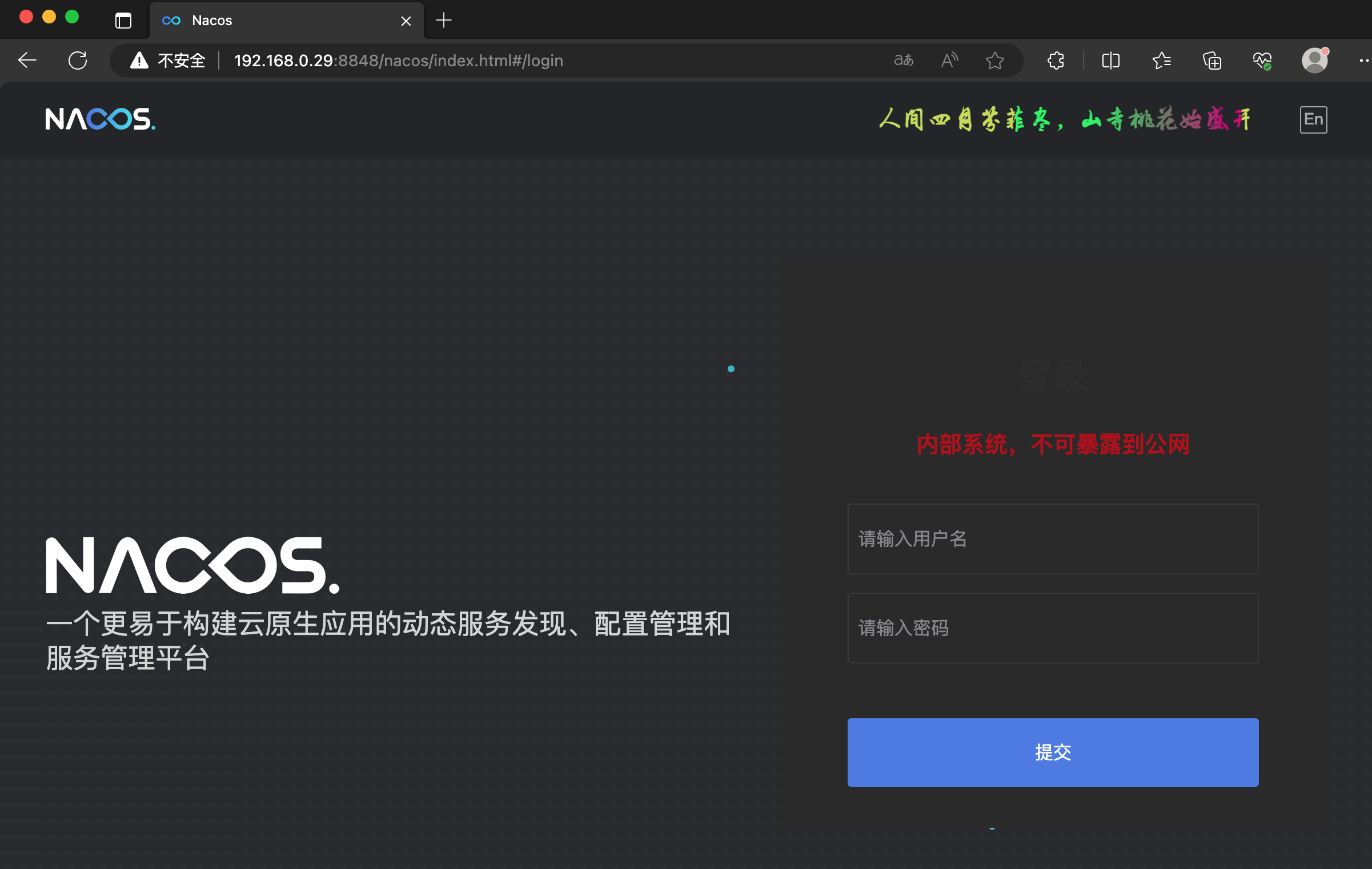 image-20240219155724543