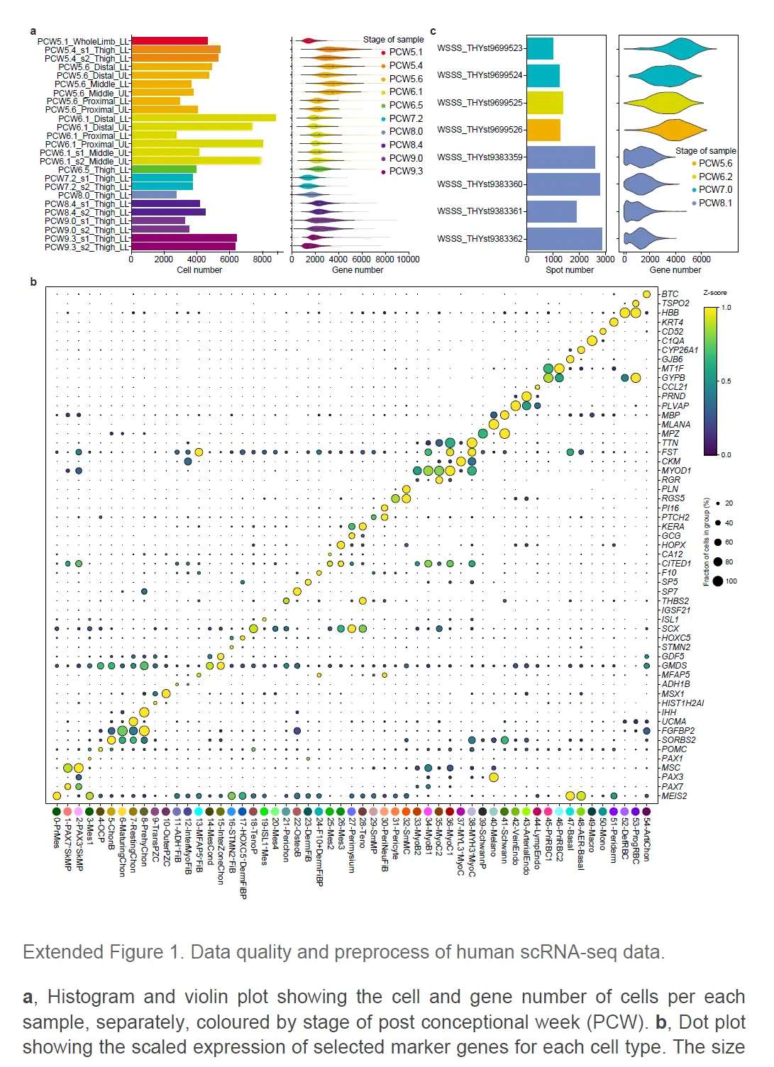10X单细胞空间联合分析解析的人类胚胎limb cell图谱_a human embryonic limb cell atlas ...