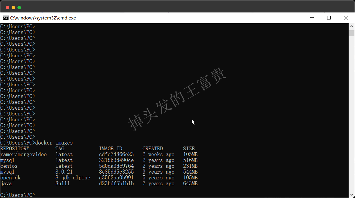 image-20240815192813357