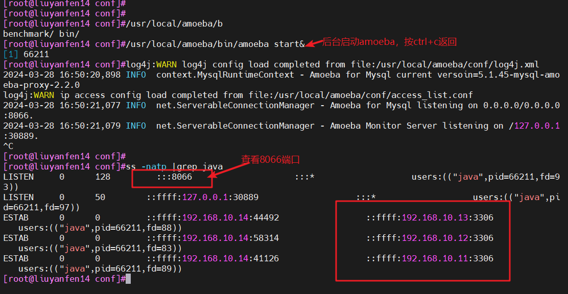 image-20240328165529962