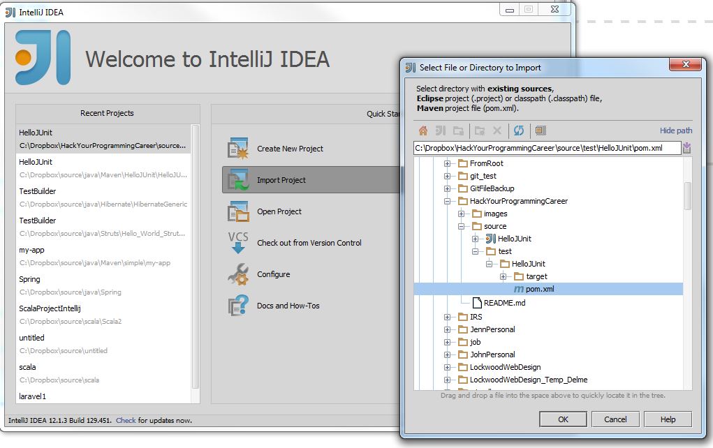 Idea Import Project