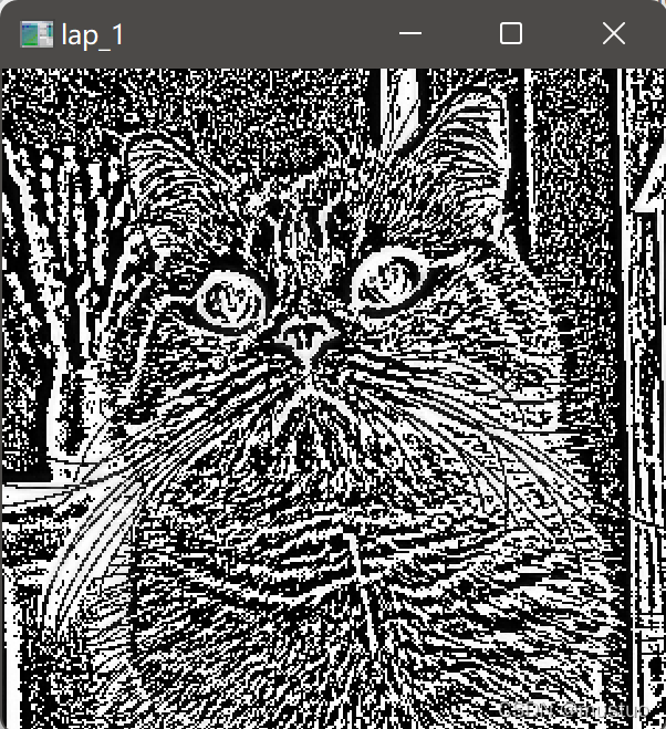 image-20220213204616817