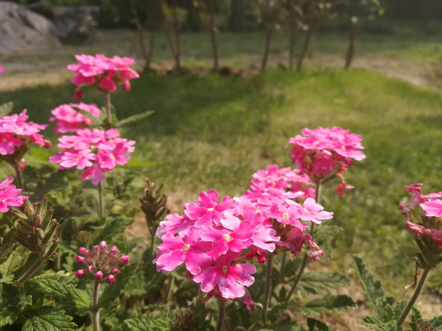5640239-aff31c0d5762c47b.jpg