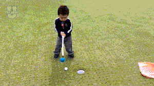 d11390b30c9496632203afeff6af10d9.gif