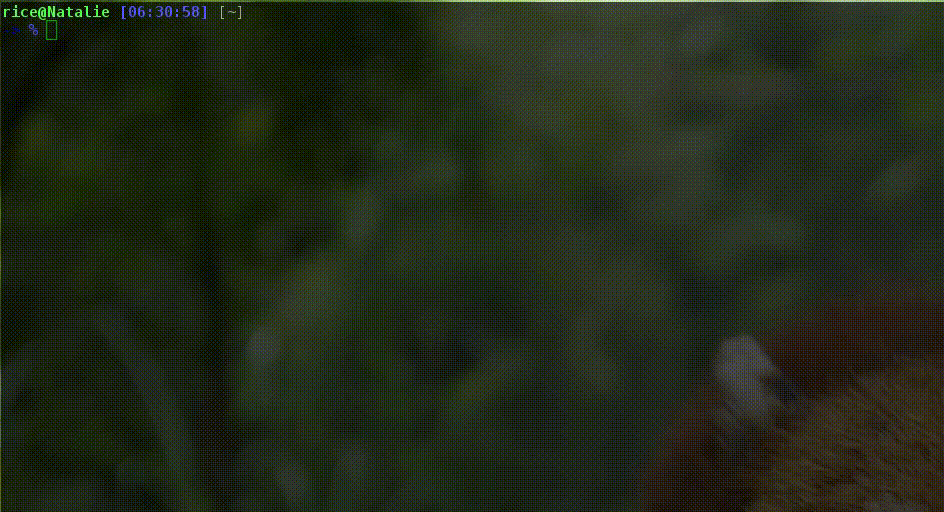 7304f6ba441a3b5383326e9a84a79241.gif