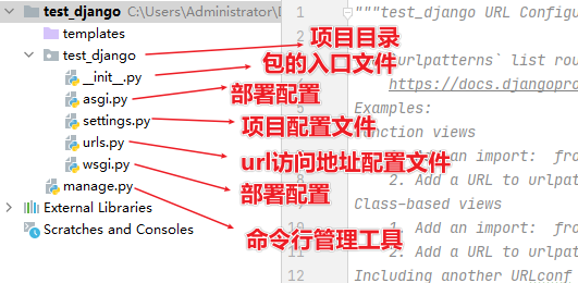 image-20210203093717956