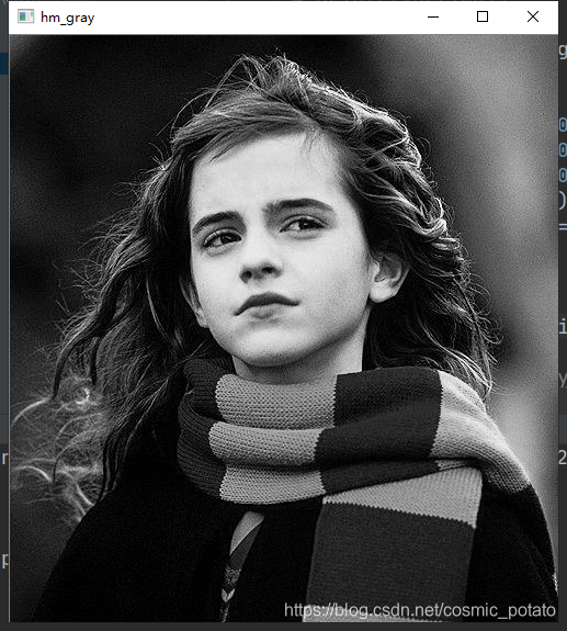 赫敏真好看啊~~