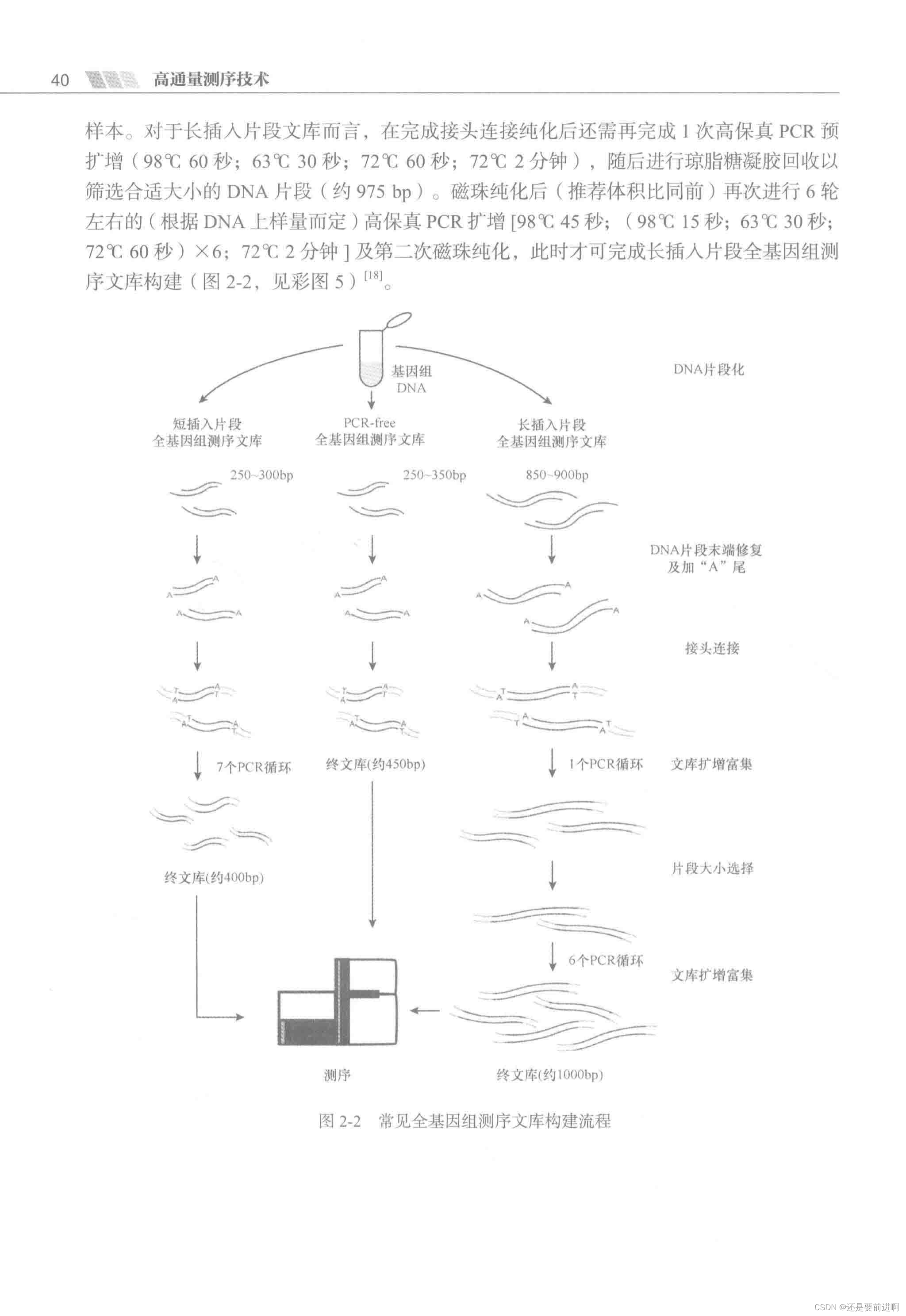 《高通量测序技术》分享，第二章文库构建原理及特点_高通量测序技术李金明pdf-CSDN博客