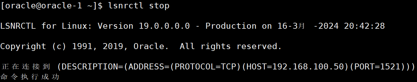 Oracle19c静默部署插图47 image-20240316204327049