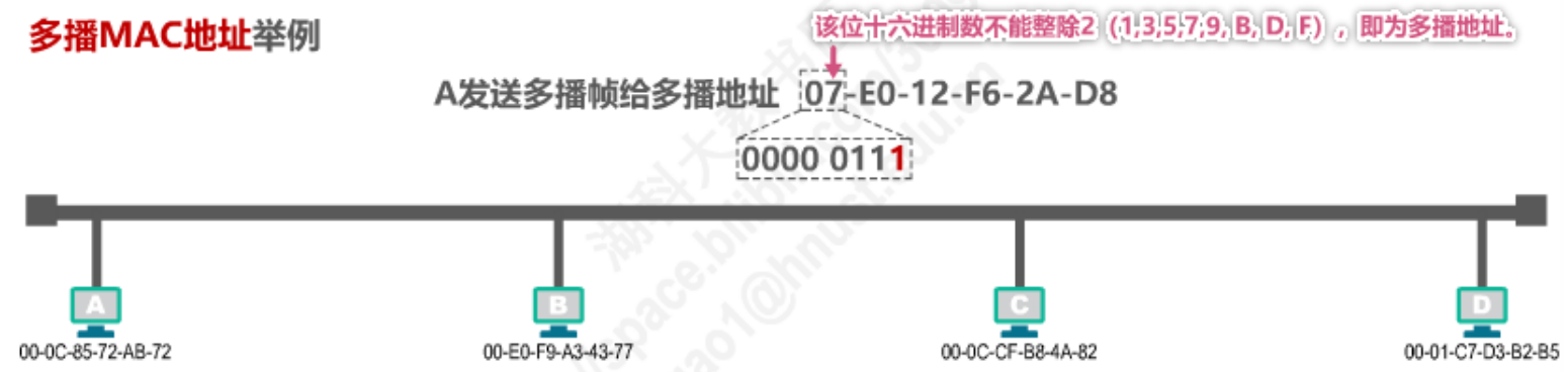 image-20230213224410515