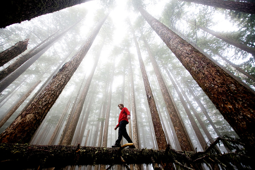 National Geographic's International Photography Contest 2009