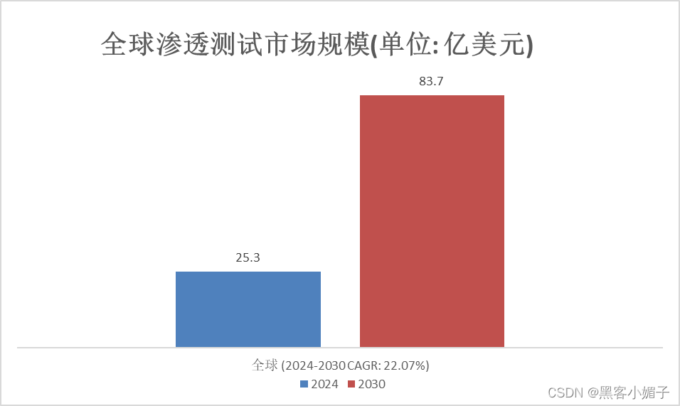 渗透测试实地培训_渗透测试培训_培训渗透测试内容