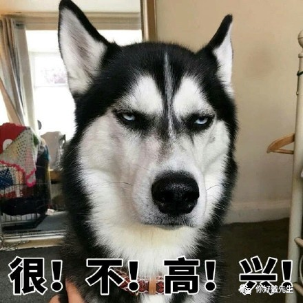 45a2dd825ef711961f8bef098bee259e.png