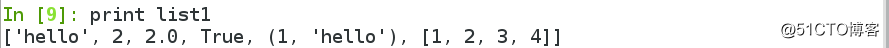 Python中的列表