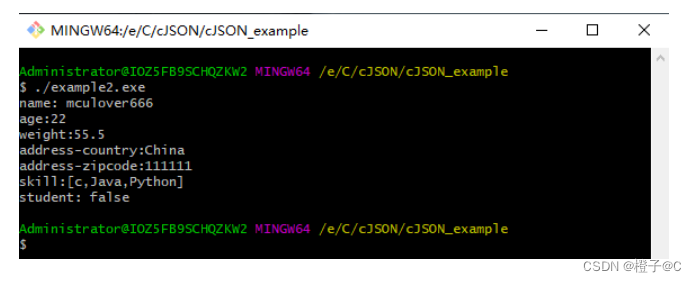 深入理解cJSON:JSON对象表示与解析-CSDN博客