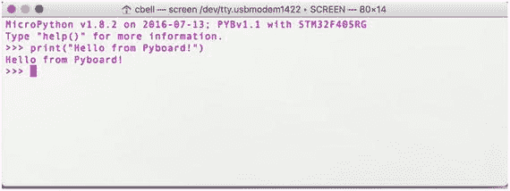 A447395_1_En_2_Fig10_HTML.jpg