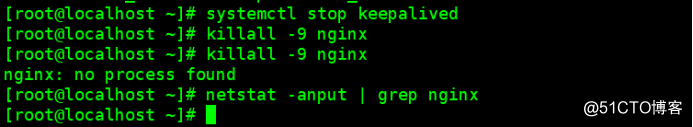 群集架构篇——nginx反向代理+keepalived双机热备+tomcat服务器池+后端数据库