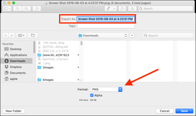 Click on the Format drop-down to see all file format options