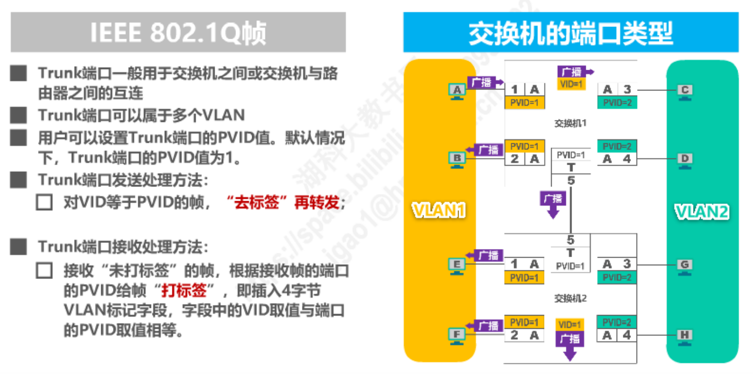 image-20230214233815865