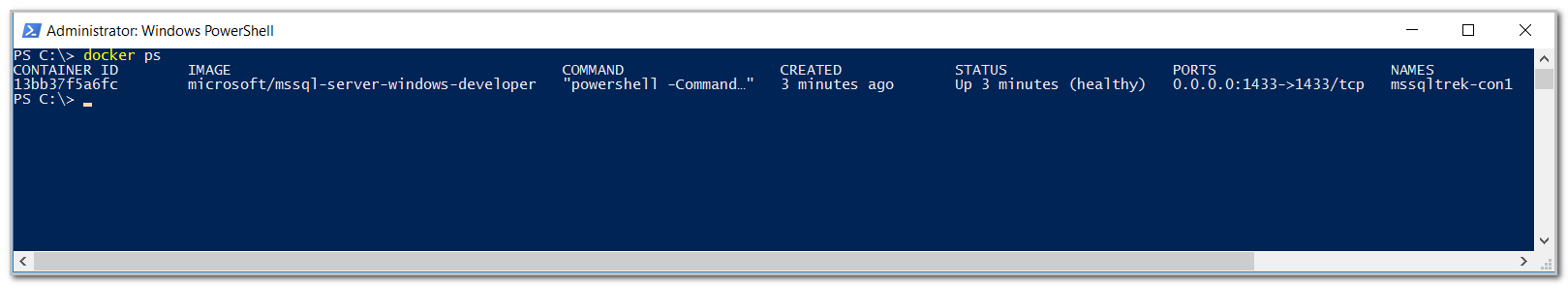 verify the status of docker container from powershell.