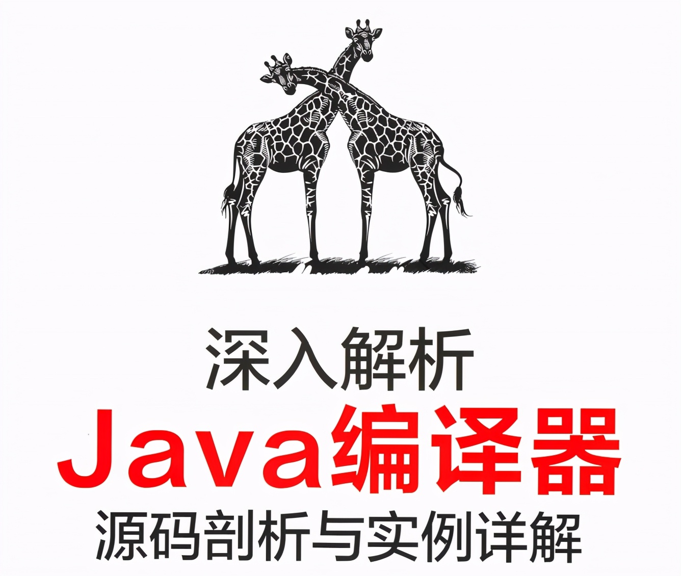 阿里/京东/美团等10多位大咖力荐Java编译器:源码剖析与实例手册