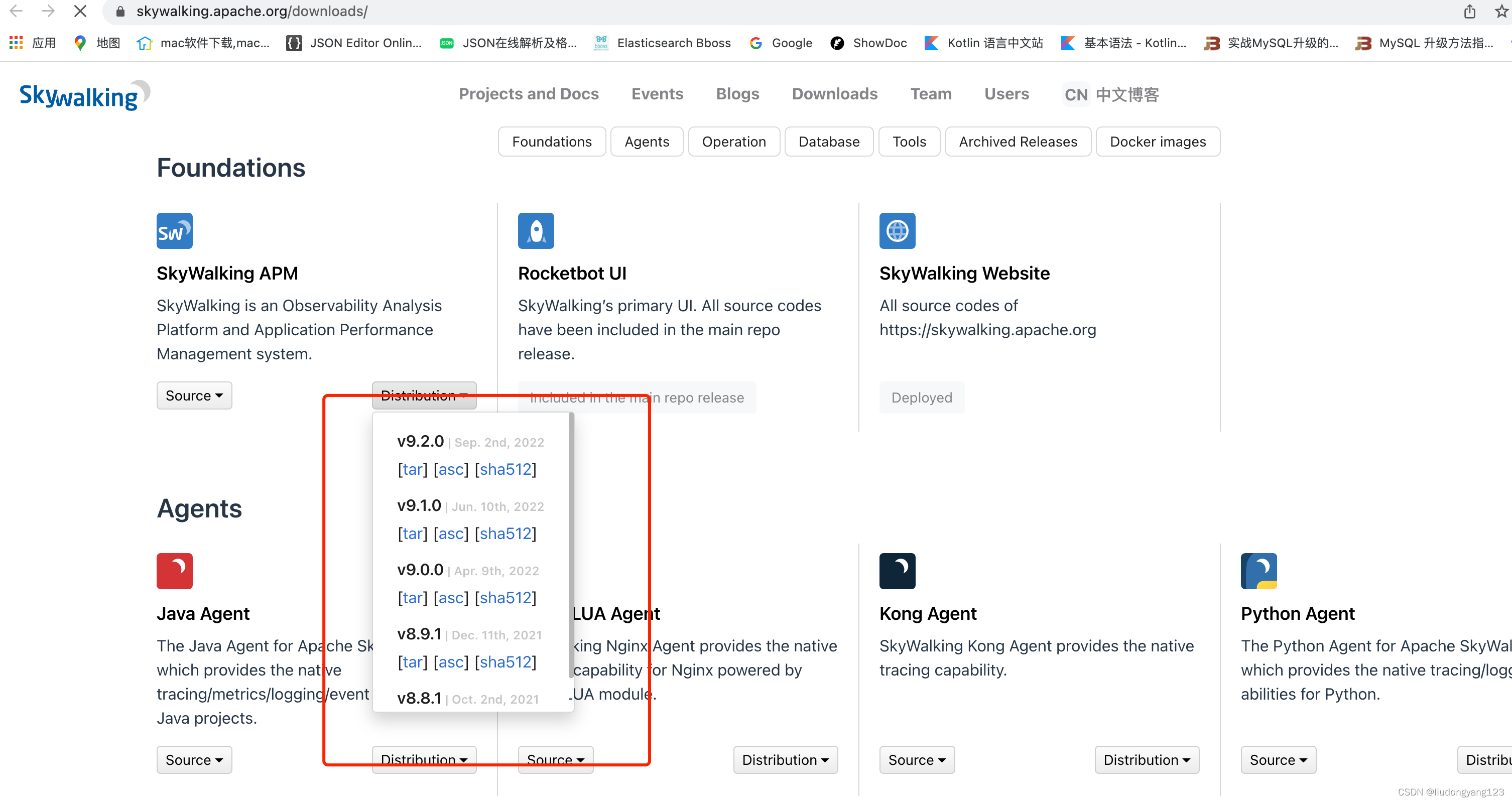 Apache SkyWalking 安装与配置指南-CSDN博客