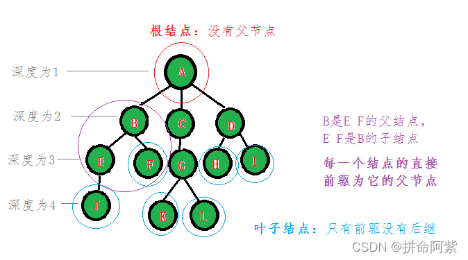 树的概念及结构(一篇足以让你认识树)_生物一张图看懂树的结构-CSDN博客