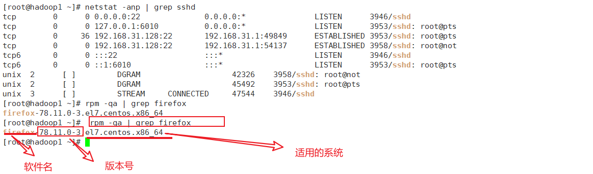image-20210623205227158