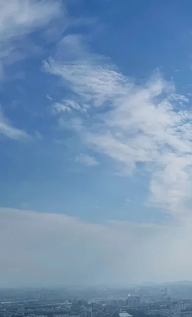 a010cf298060d320542df3ab5f8ee72d.jpeg