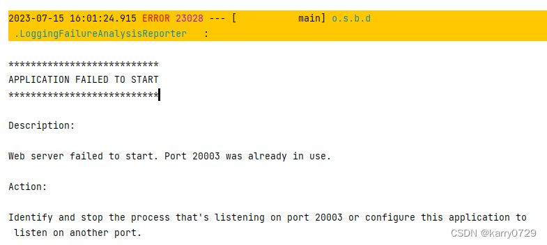端口被占用异常
